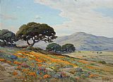 California Lupines and Poppies by Angel Espoy